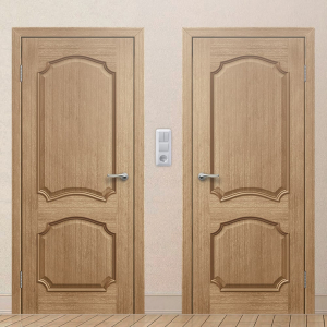 Картинка анонса двери Класс 14 ДГЧ 137 ASMarket СПб