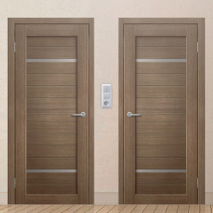 Картинка анонса двери ЭКОЧ 47 137 ASMarket СПб