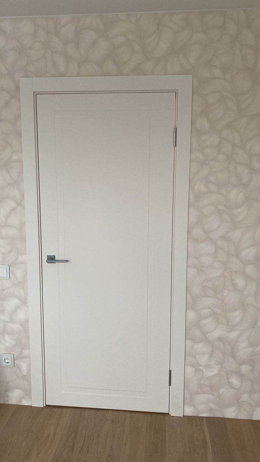 Товарищеский проспект д1