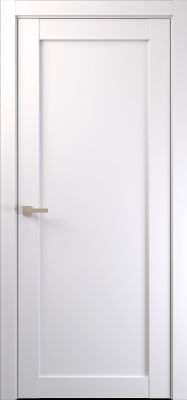Основная фотография межкомнатной двери AS Ver 10 ДГ магазина ASMarket