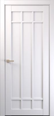 Основная фотография межкомнатной двери AS Ver 7 ДГ магазина ASMarket