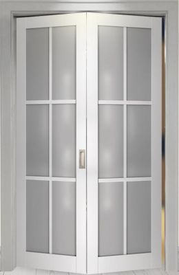 Картинка двери книжка Book Eleg 1 в ASMarket СПБ 